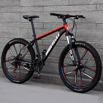 Bikes & E-Bikes