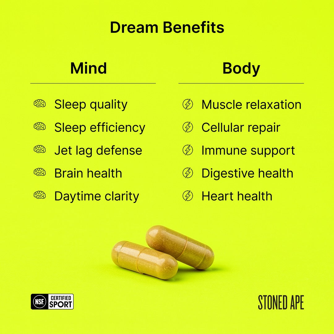 Dream PM Nootropic Sleep Aid Nighttime Recovery Wellness Supplement