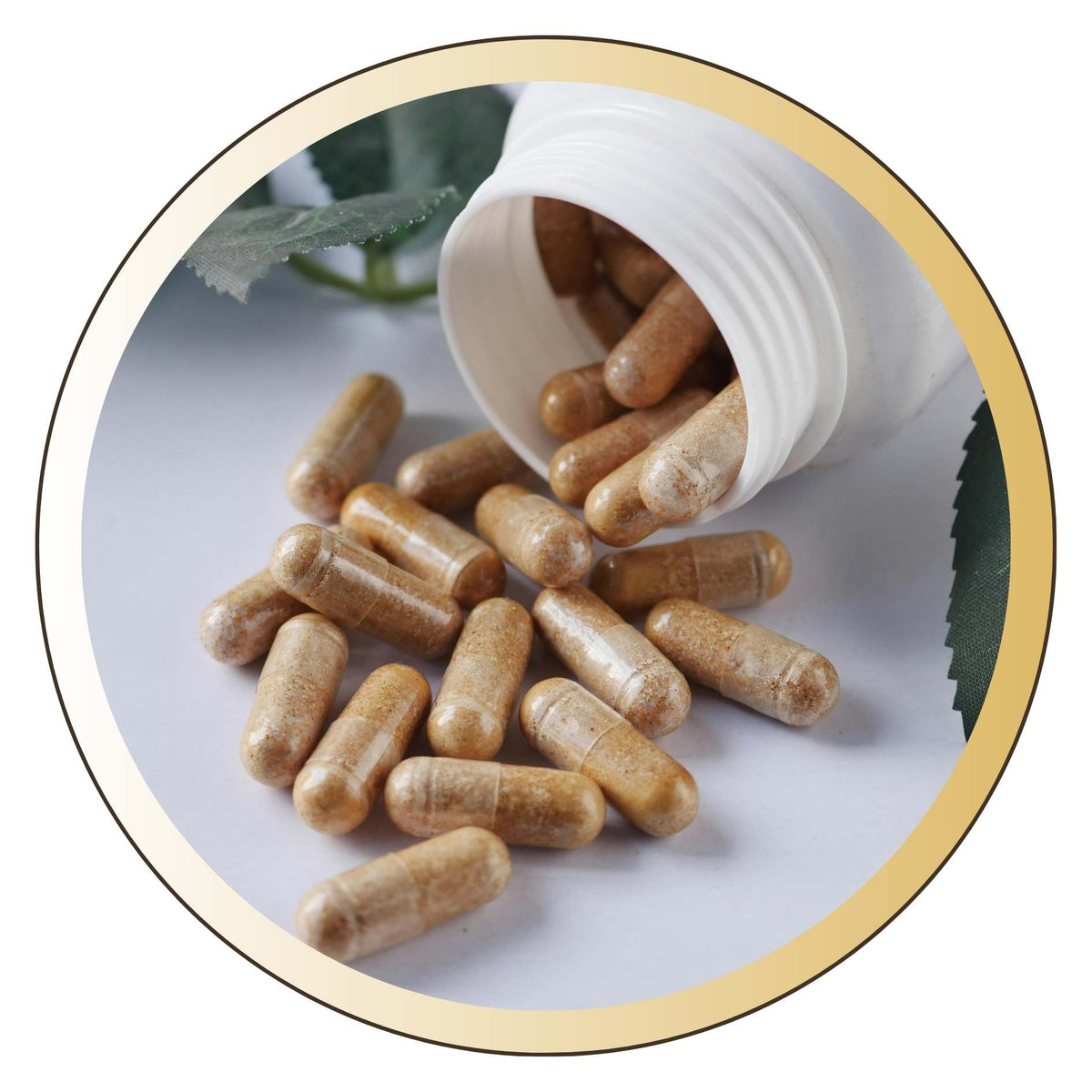 A circular inset photo showing tan herbal supplement capsules spilling from a white plastic bottle onto a light surface, with a thin gold ring border around the circle.